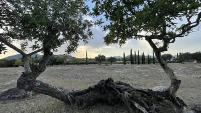 Rustic Finca in Pollença photo 12