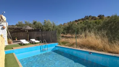Rustic finca in Alcalá la Real photo 12