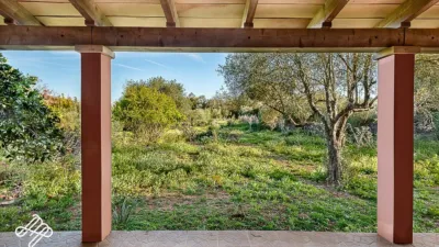 Rustic finca in Algaida photo 5