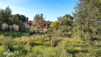 Rustic finca in Algaida photo 10