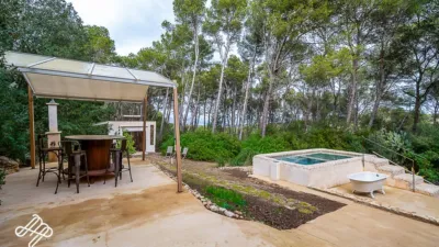 Rustic Finca in Algaida photo 7