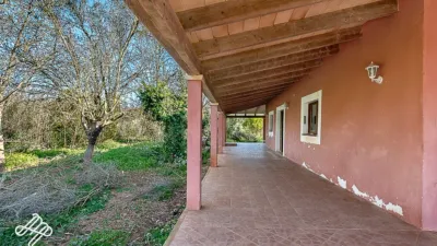 Rustic finca in Algaida photo 6