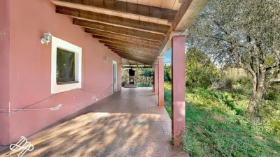 Rustic finca in Algaida photo 7