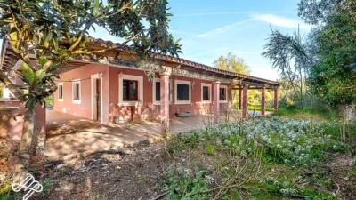 Rustic finca in Algaida photo 3