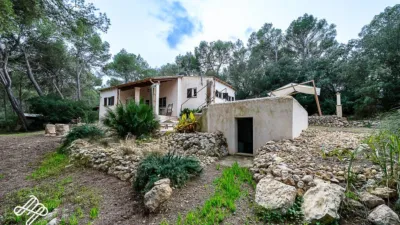 Rustic Finca in Algaida photo 5
