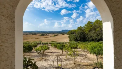 Rustic finca in Algaida photo 5