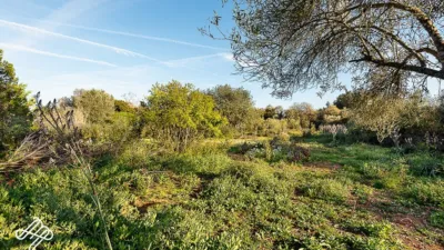 Rustic finca in Algaida photo 8