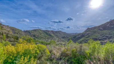 Rustic Finca in Andratx photo 7