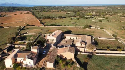 Rustic finca in Santa Margalida photo 10