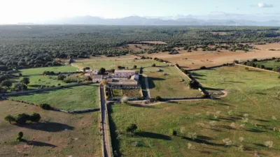 Rustic finca in Santa Margalida photo 12