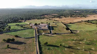 Rustic finca in Santa Margalida photo 13