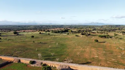 Rustic finca in Santa Margalida photo 16