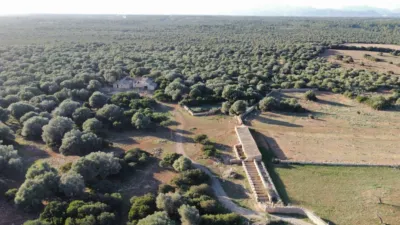 Rustic finca in Santa Margalida photo 18