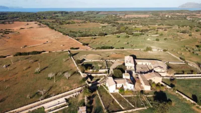 Rustic finca in Santa Margalida photo 20