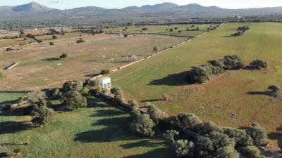 Rustic finca in Santa Margalida photo 21