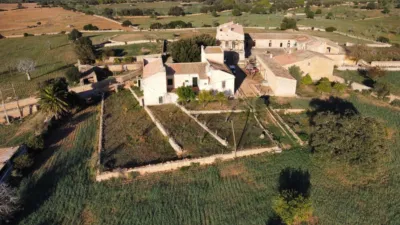 Rustic finca in Santa Margalida photo 24
