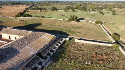Rustic finca in Santa Margalida photo 25