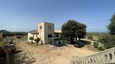 Rustic finca in Santa Margalida photo 26