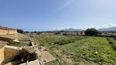 Rustic finca in Santa Margalida photo 30