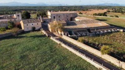 Rustic finca in Santa Margalida photo 4