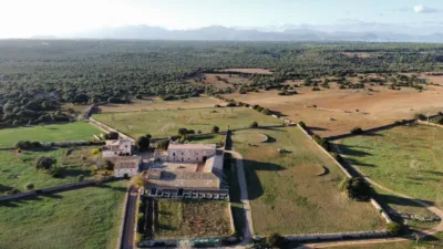 Rustic finca in Santa Margalida photo 6