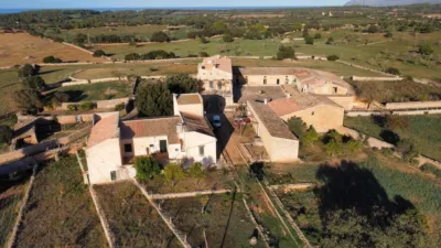 Rustic finca in Santa Margalida photo 8