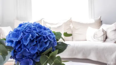 Apartment in Palma de Mallorca photo 5