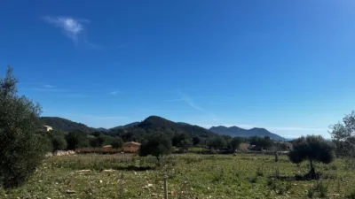 Rustic finca in Son Servera photo 3