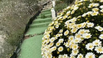 Finca rústica en venta en Núcleo Urbano, Núcleo Urbano (Vélez-Málaga) de 439.000 €