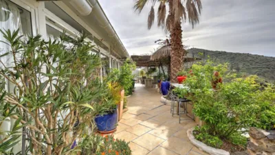 Finca rústica en venta en Núcleo Urbano, Núcleo Urbano (Vélez-Málaga) de 439.000 €