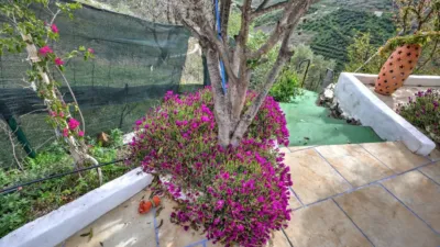 Finca rústica en venta en Núcleo Urbano, Núcleo Urbano (Vélez-Málaga) de 439.000 €