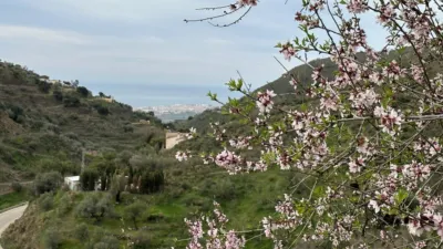 Finca rústica en venta en Núcleo Urbano, Núcleo Urbano (Vélez-Málaga) de 439.000 €