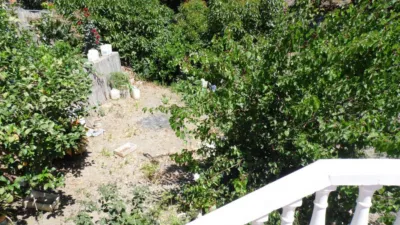Rustic Finca in Canillas de Aceituno photo 15