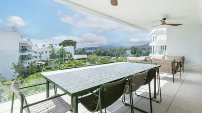Apartment in Port de Pollença photo 3