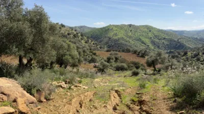Rustic Finca in Álora photo 14