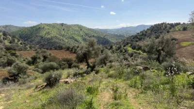 Rustic Finca in Álora photo 16