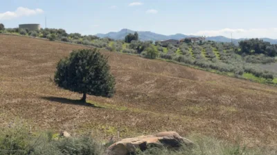 Rustic Finca in Álora photo 8