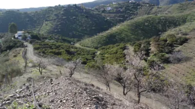 Rustic Finca in Viñuela photo 16