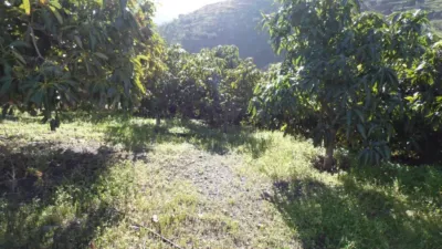 Rustic Finca in Viñuela photo 20