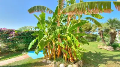 Piso en alquiler en Benajarafe, Benajarafe (Vélez-Málaga) de 900 €<span>/mes</span>