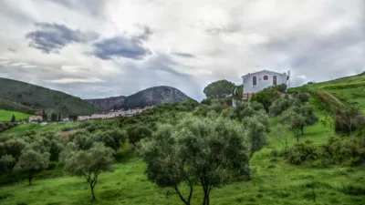 Rustic Finca in Alcaucín photo 2