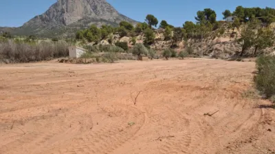 Rustic Finca in the Finestrat Area photo 2