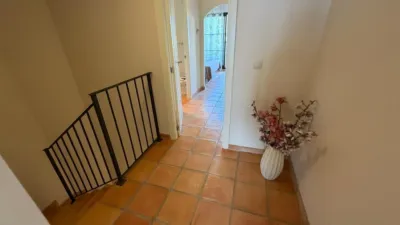 Terraced house on Carrer Atenes photo 31