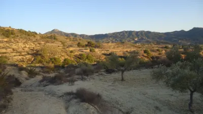 Rustic finca in Abanilla photo 10