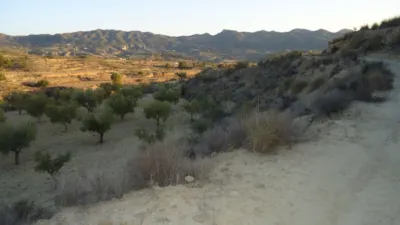 Rustic finca in Abanilla photo 11