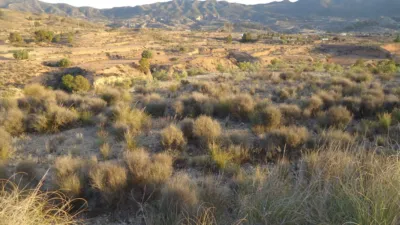 Rustic finca in Abanilla photo 14