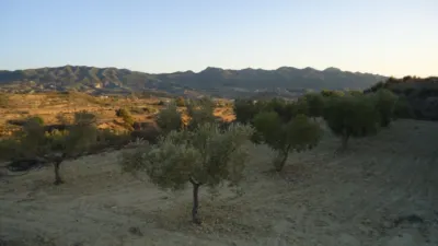 Rustic finca in Abanilla photo 6