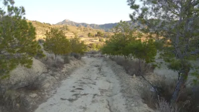 Rustic finca in Abanilla photo 7