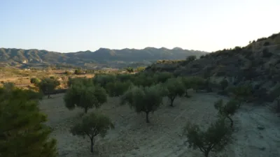 Rustic finca in Abanilla photo 8