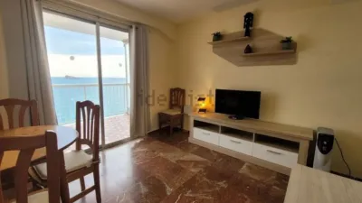 Apartment in Racó de l'Oix photo 7
